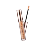 INSTYLE LASTING FINISH CONCEALER